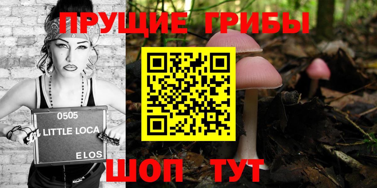 хочу   Вход с VPN  Севастополь  Галлюциногенные грибы Cubensis  Псилоцибиновые грибы Cubensis 